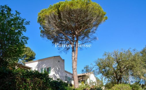 Villa in Antibes, Provence-Alpes-Côte d'Azur, France 1