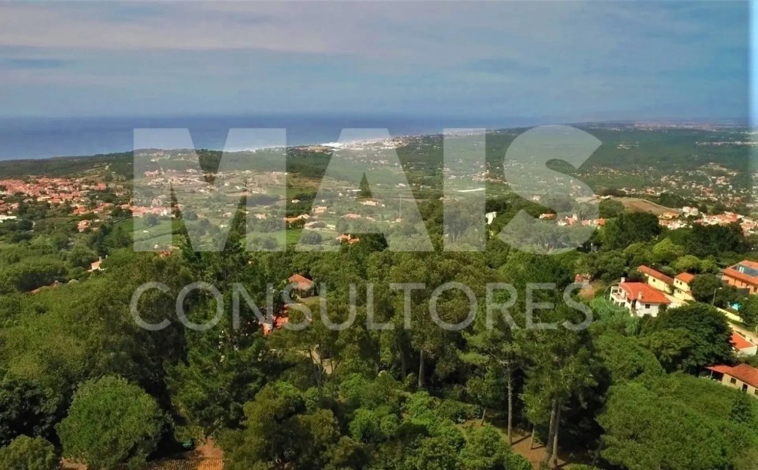 Land in Colares, Lisbon, Portugal 4 - 16774588