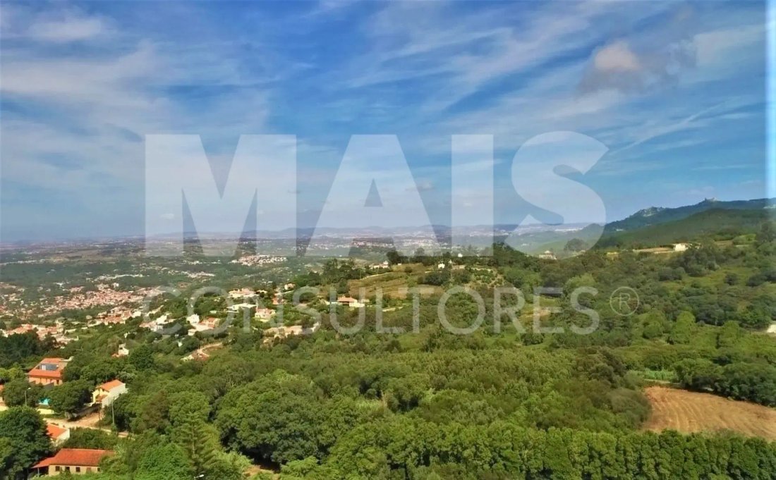 Land in Colares, Lisbon, Portugal 2 - 16774588