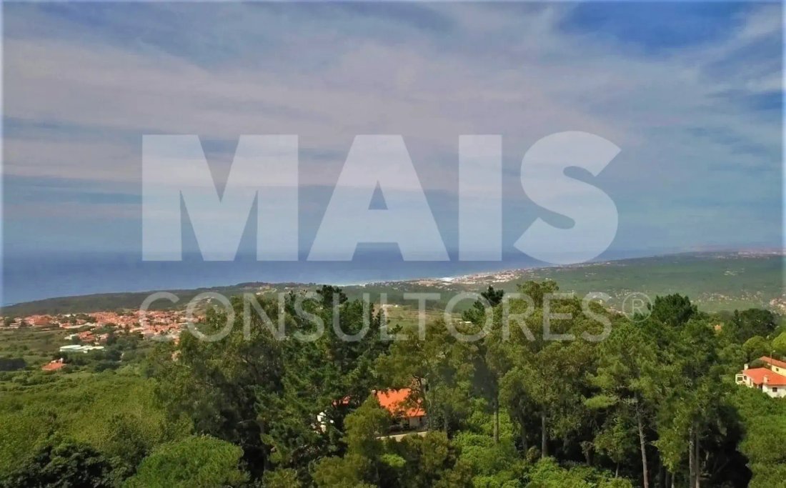 Land in Colares, Lisbon, Portugal 5 - 16774588