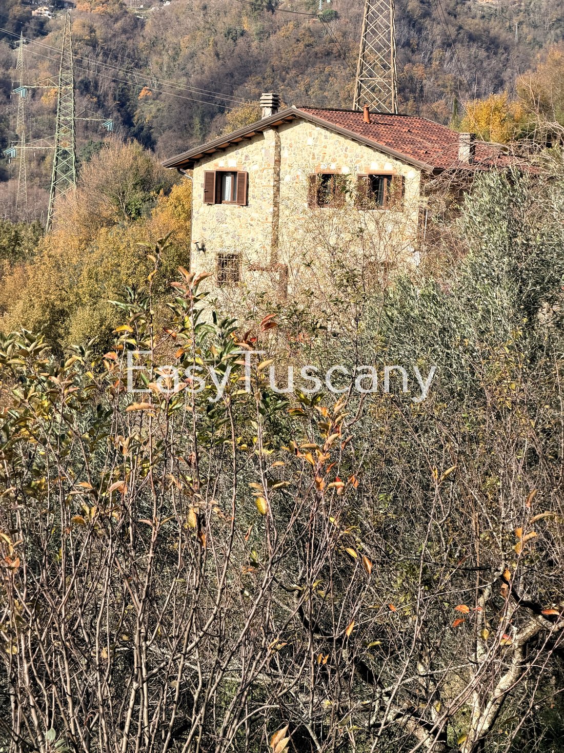Villa in Stadium - Sant'Antonio - Marasio, Marina di Carrara, Tuscany 2 - 16775841