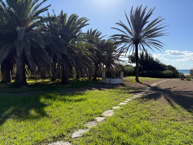 Terreno a Zahara de los Atunes, Tarifa, Andalusia 2 - 16774725