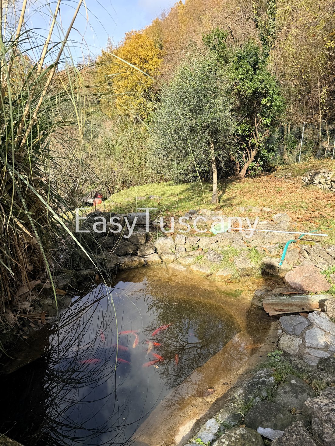 Villa in Stadium - Sant'Antonio - Marasio, Marina di Carrara, Tuscany 5 - 16775841