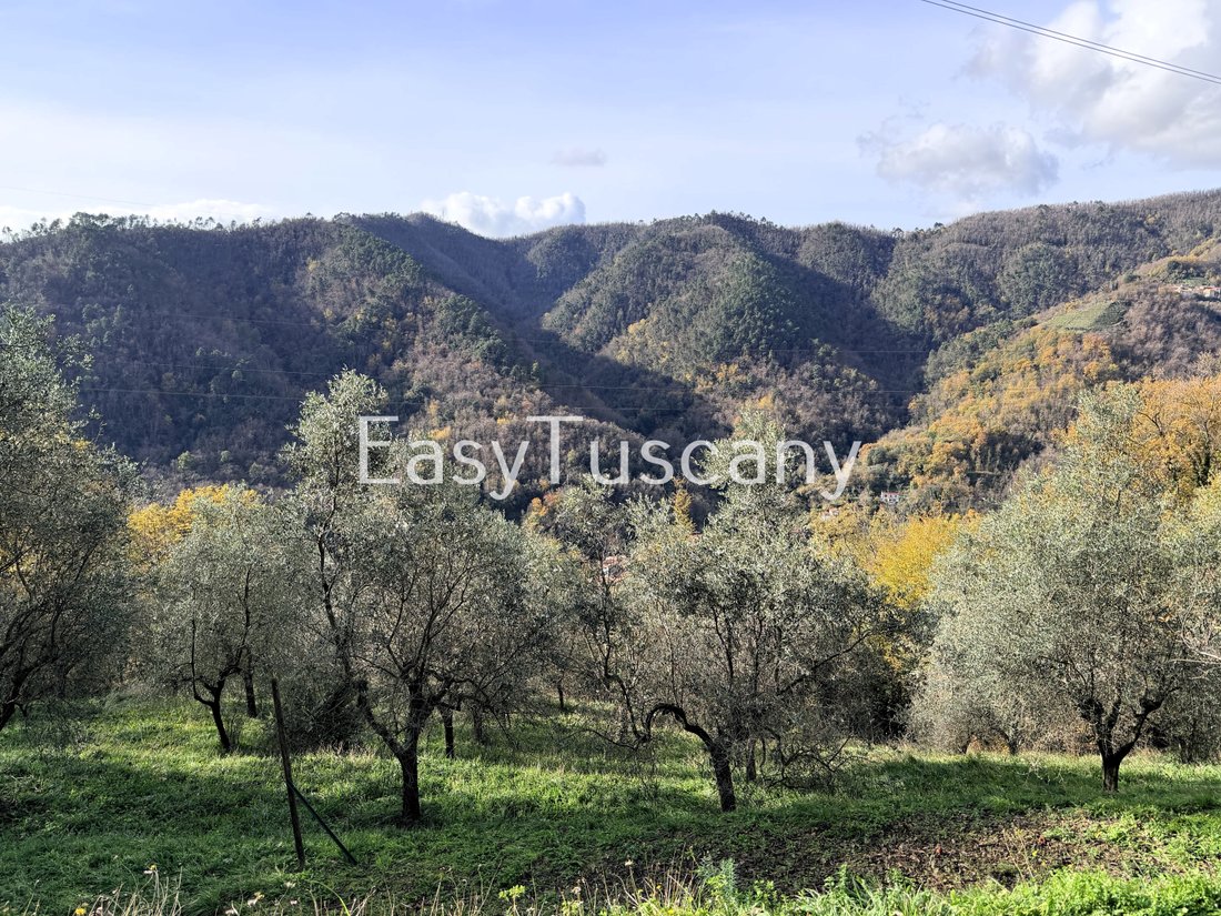 Villa in Stadium - Sant'Antonio - Marasio, Marina di Carrara, Tuscany 3 - 16775841