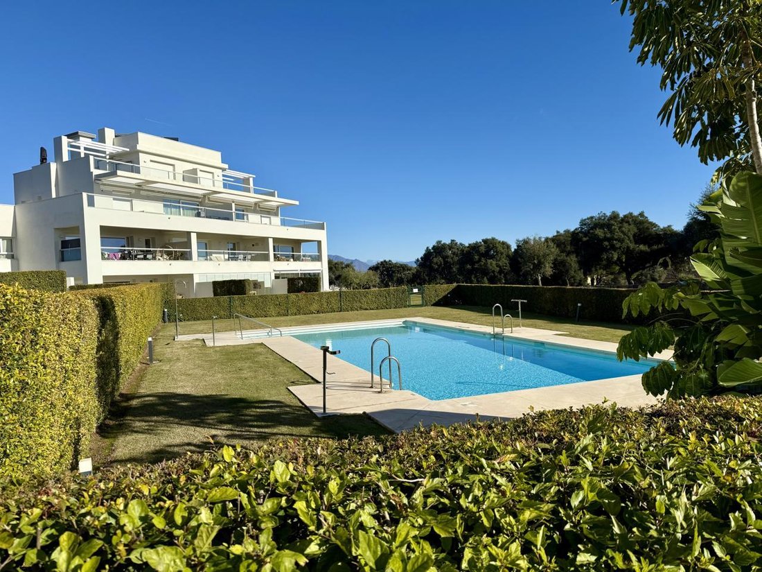 Apartment in Sotogrande, San Roque, Andalusia 5 - 16741026
