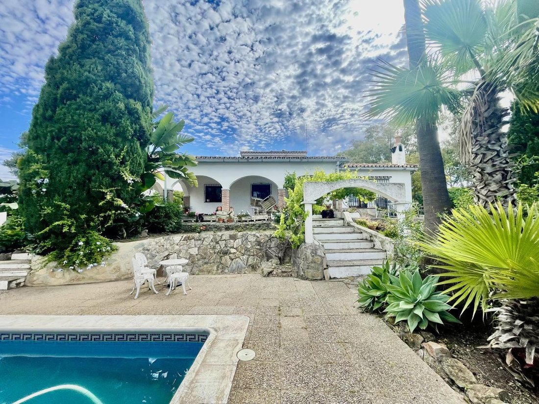 Azienda agricola a Sotogrande, San Roque, Andalusia 3 - 16776392