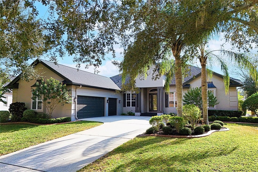 House in Palm Harbor, Florida, United States 4 - 16774847