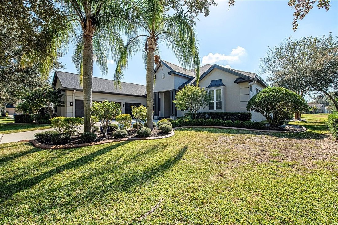 House in Palm Harbor, Florida, United States 5 - 16774847