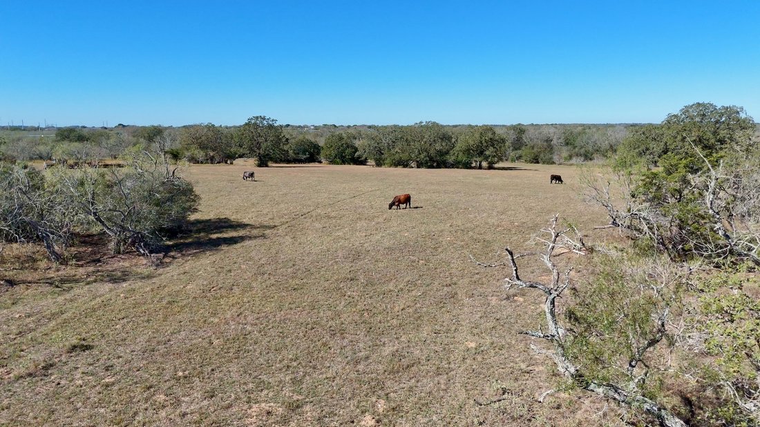 Land in Harwood, Texas, United States 5 - 16776528