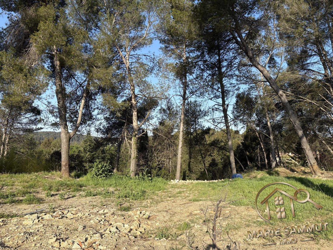 Land in Sud, Montferrier-sur-Lez, France 5 - 15707359