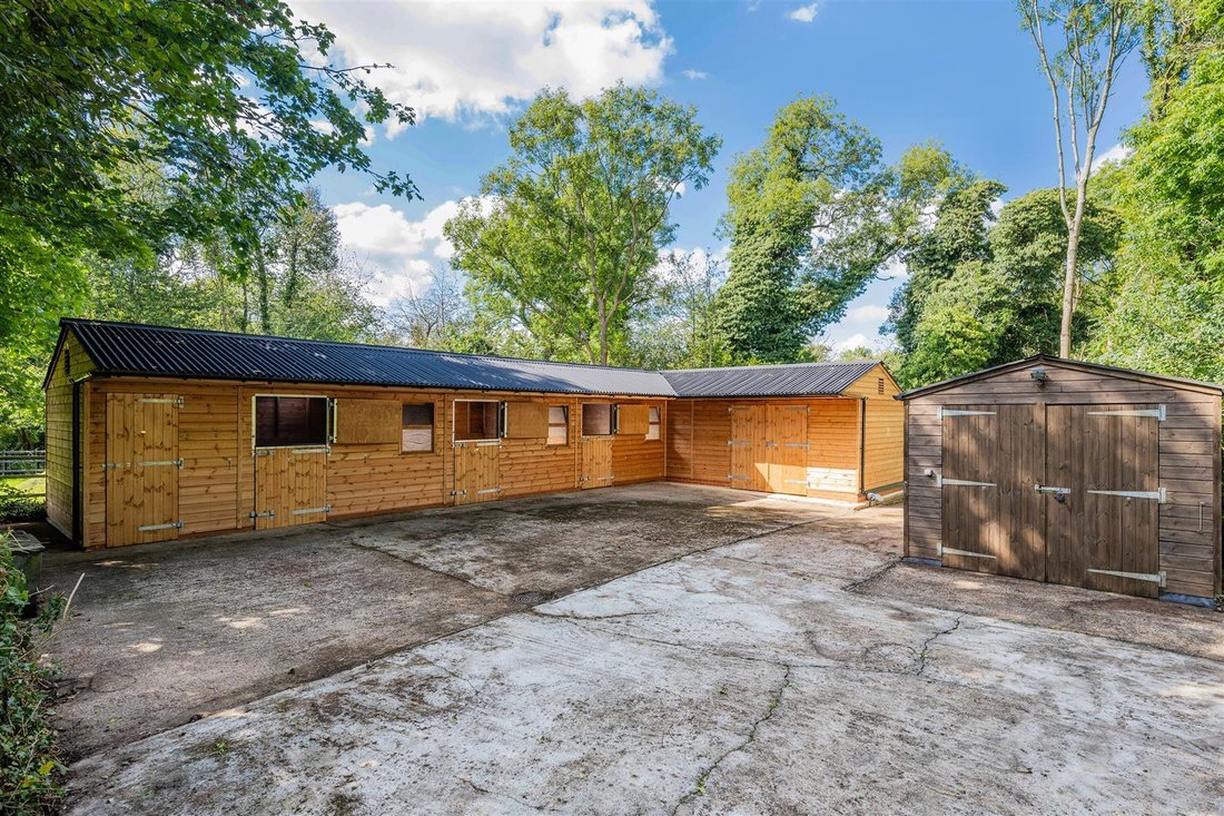 Bungalow in Reigate and Banstead, England 3 - 16780085