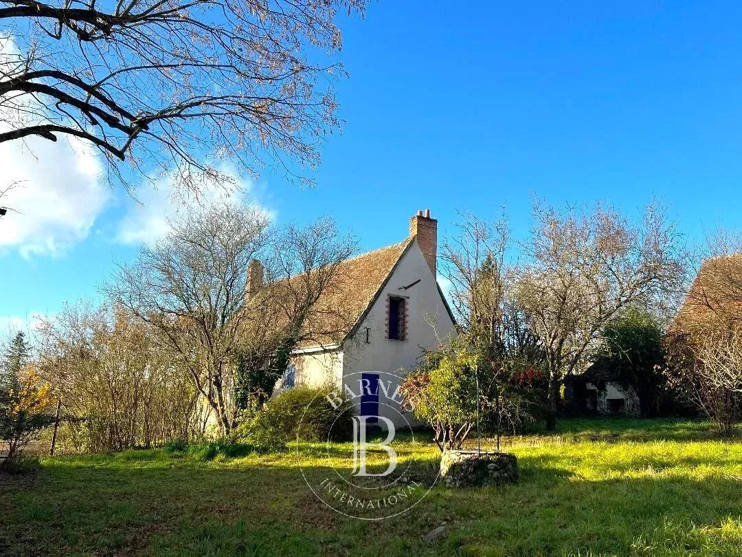 Estate in Joué-lès-Tours, Centre-Val de Loire, France 4 - 16778906