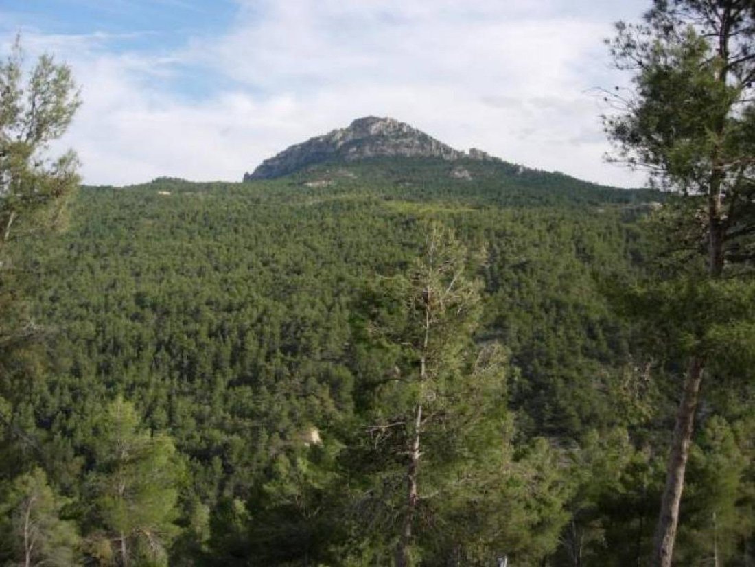 Land in Moratalla, Murcia, Región de Murcia, Spain 1 - 16782537