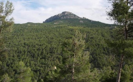 Land in Moratalla, Murcia, Región de Murcia, Spain 1
