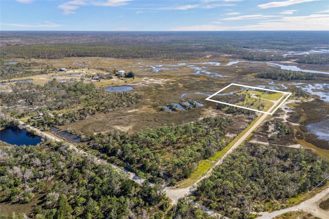 Land in Steinhatchee, Florida, United States 3 - 16781635