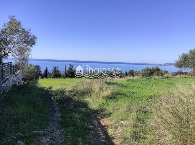 Land in Argostoli, Peloponnese, Western Greece and the Ionian, Greece 2 - 16776986
