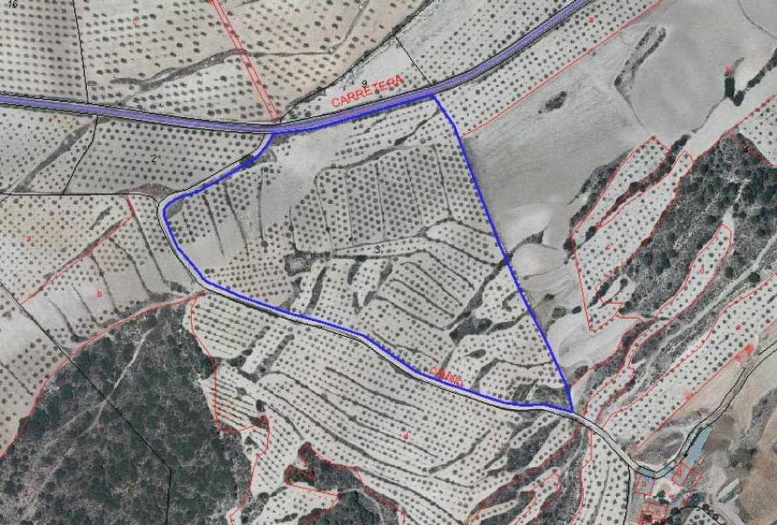 Land in Moratalla, Murcia, Región de Murcia, Spain 4 - 16782537