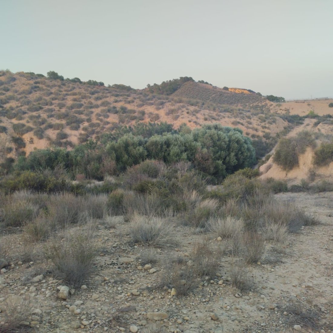 Land in Totana, Region of Murcia, Spain 5 - 16782522