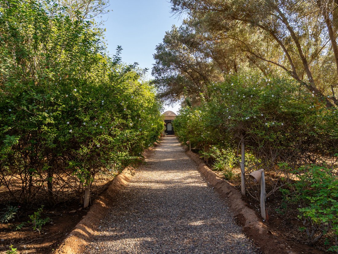 House in Taroudant, Souss-Massa, Morocco 4 - 16415506