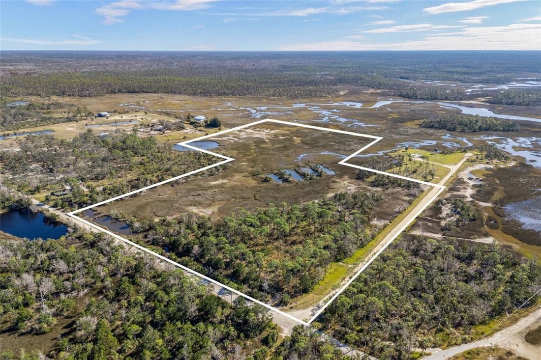 Land in Steinhatchee, Florida, United States 4 - 16781635