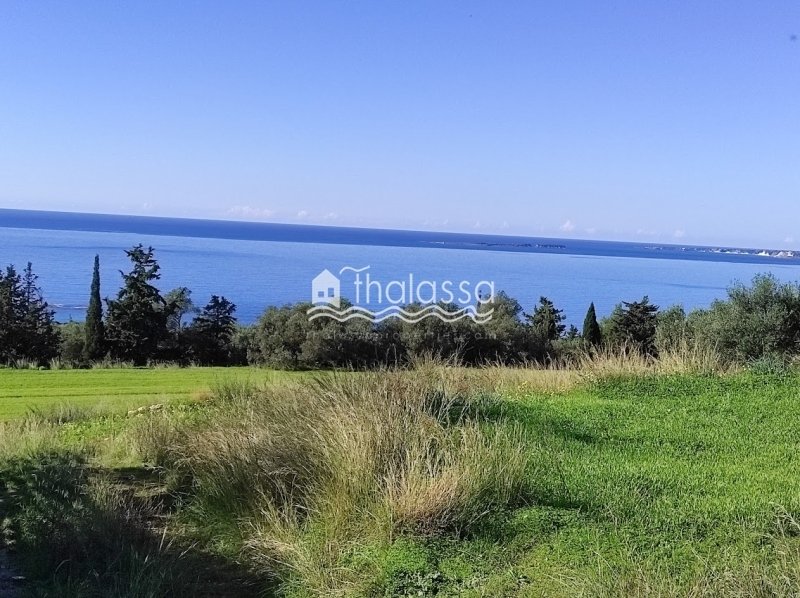 Land in Argostoli, Peloponnese, Western Greece and the Ionian, Greece 5 - 16776986