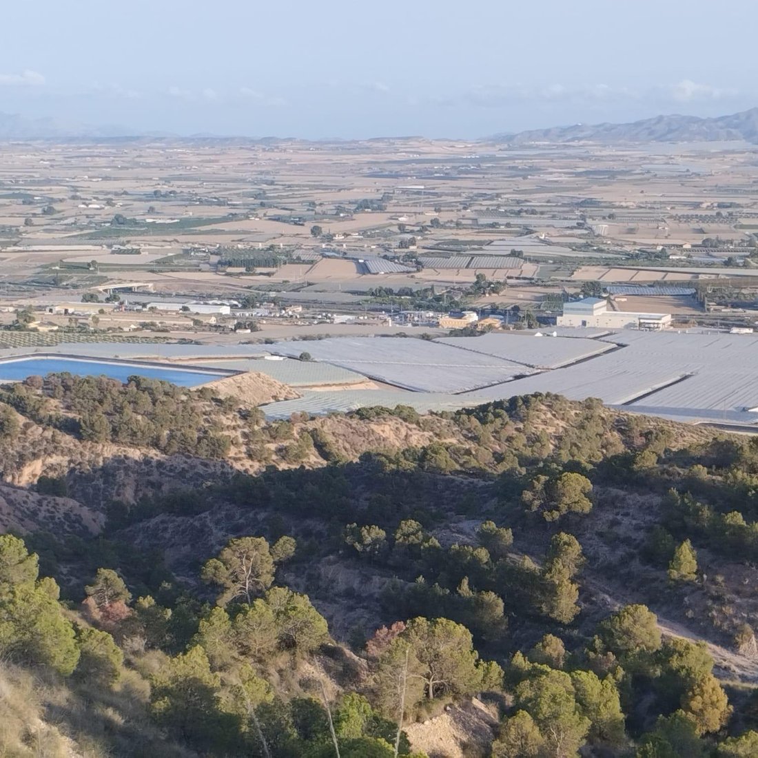 Land in Totana, Region of Murcia, Spain 2 - 16782522