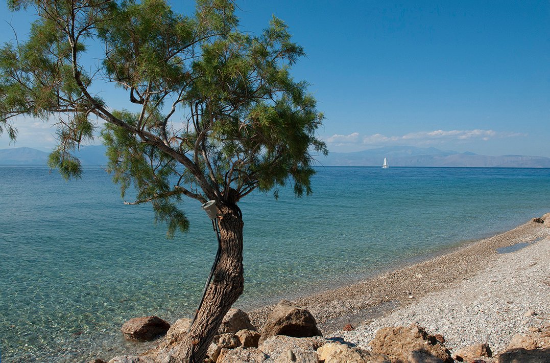 Villa in Akratas, Peloponnese, Western Greece and the Ionian, Greece 4 - 16782325