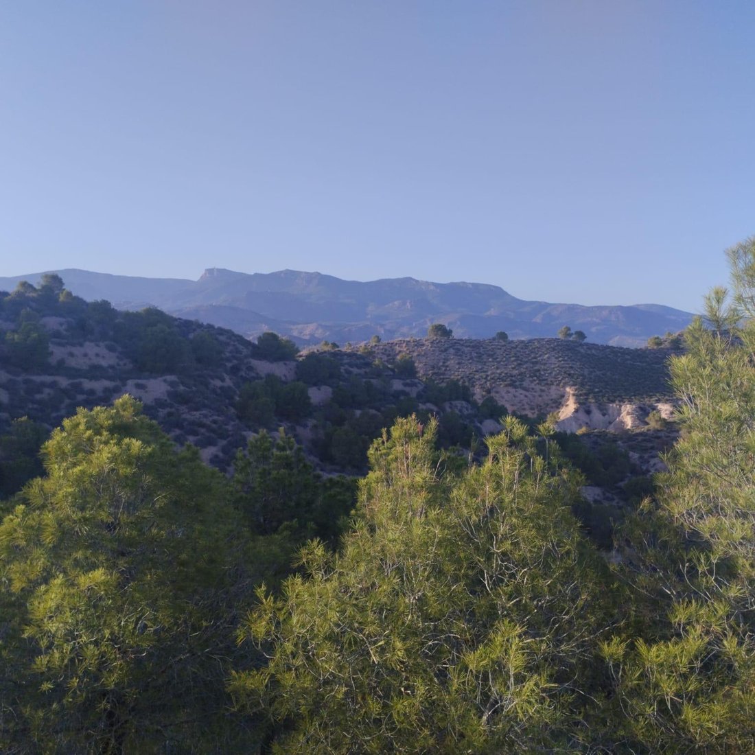 Land in Totana, Region of Murcia, Spain 3 - 16782522