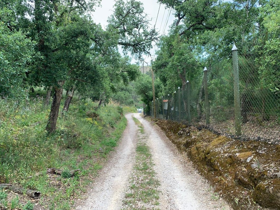 Land in Belas, Lisbon, Portugal 1 - 16705360