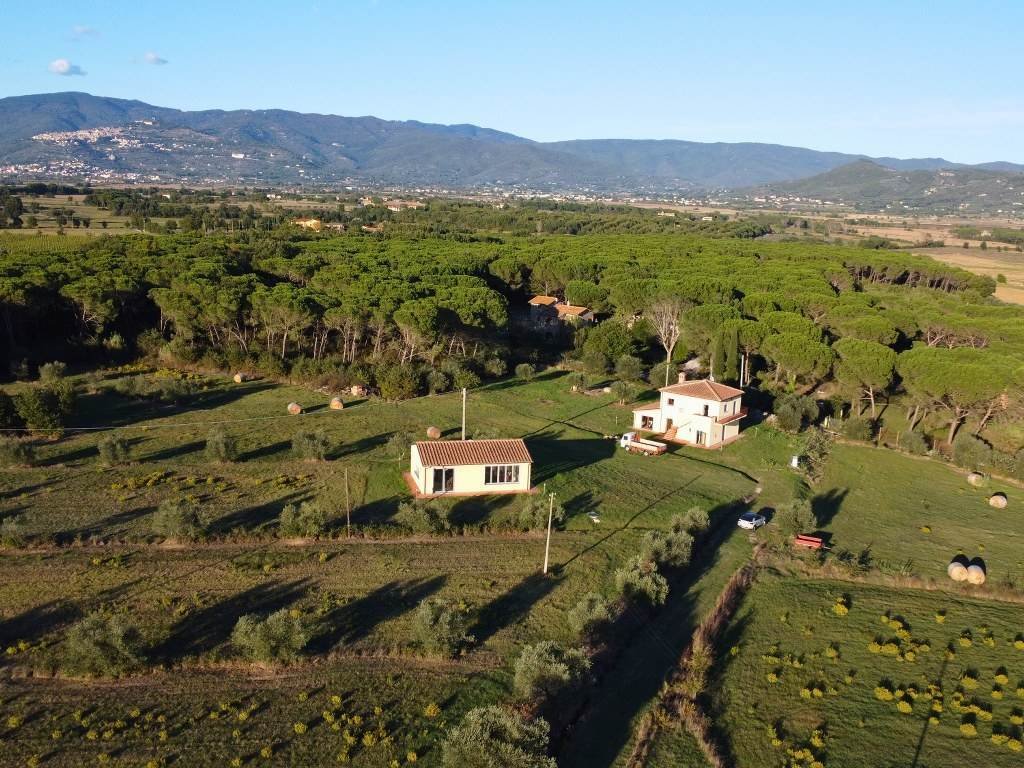 Center, Cortona, Tuscany 5 - 16780811
