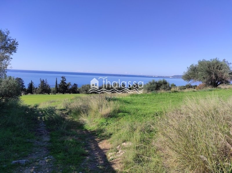 Land in Argostoli, Peloponnese, Western Greece and the Ionian, Greece 1 - 16776986