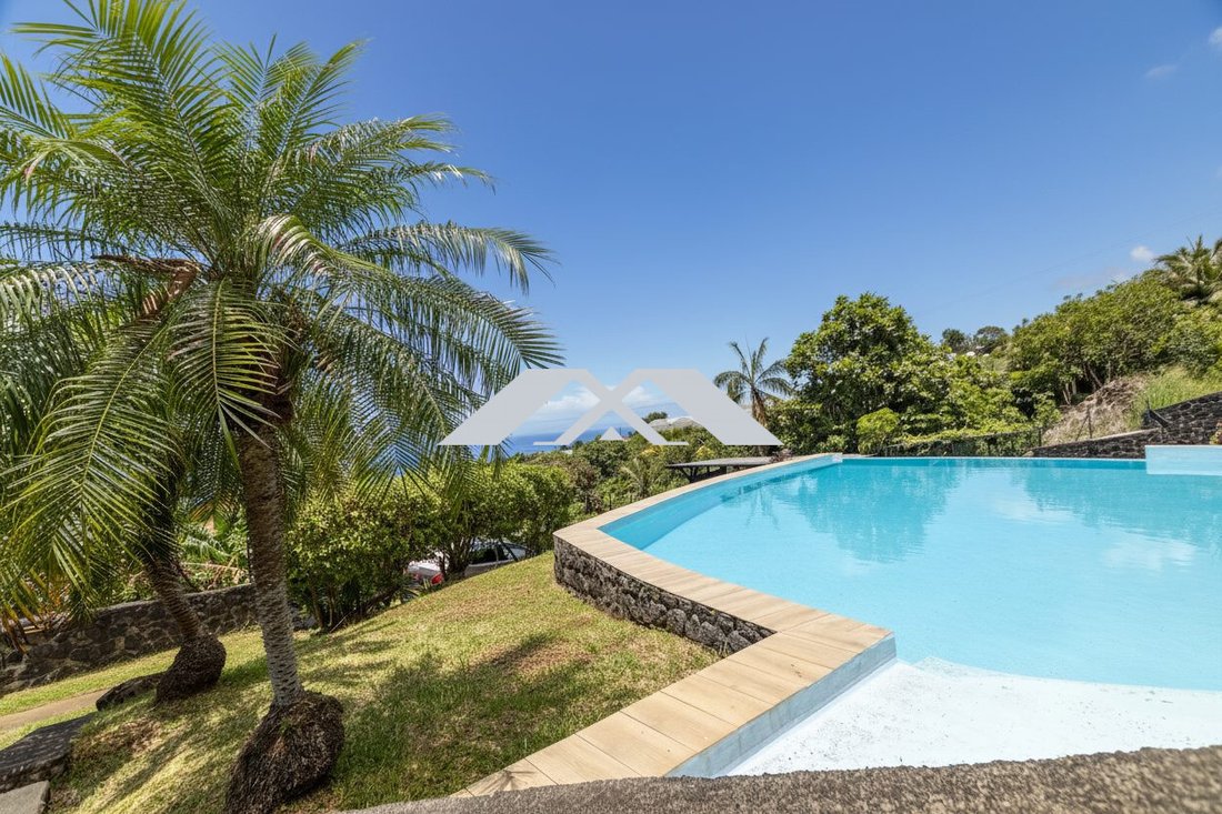 Villa in Saint Joseph, Saint-Pierre, Réunion 5 - 16782240