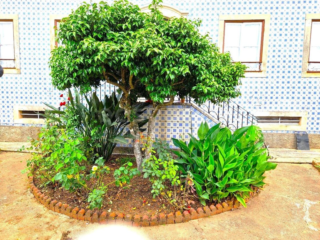 Finca in Ferreira do Zezere, Santarem District, Portugal 4 - 16750086