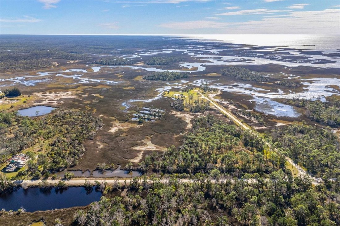 Land in Steinhatchee, Florida, United States 1 - 16781635
