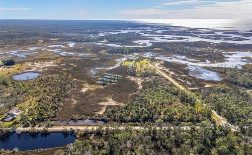 Land in Steinhatchee, Florida, United States 1