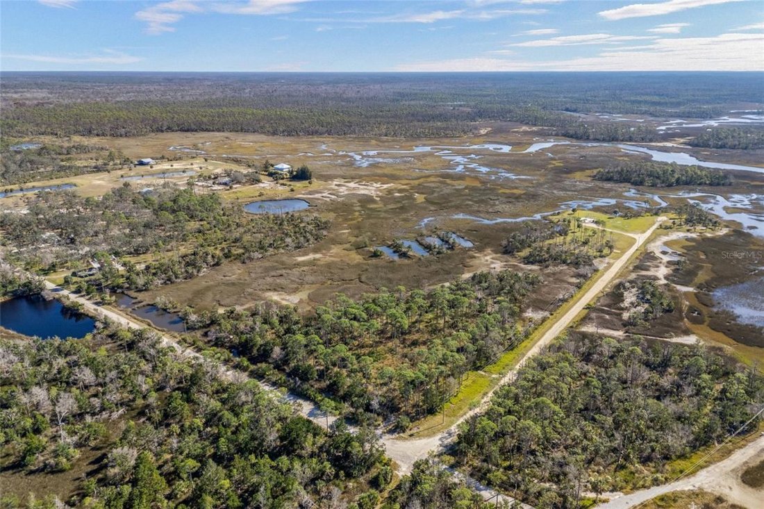 Land in Steinhatchee, Florida, United States 5 - 16781635