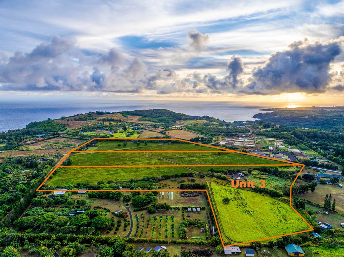 Land in Kilauea, Hawaii, United States 4 - 16781688