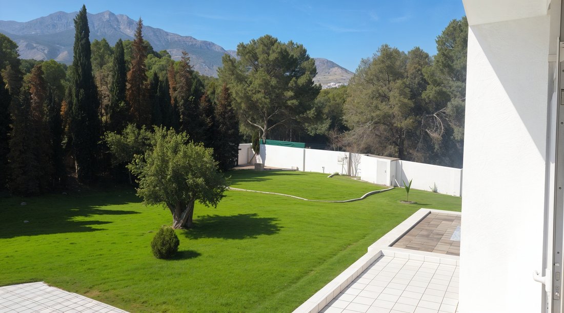 Zona de Mascarat, Valencian Community, Spain 5 - 15666576