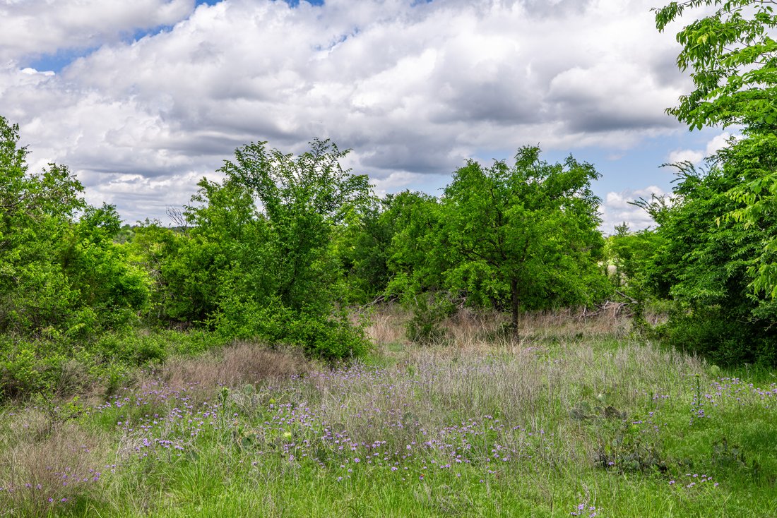 Land in Weatherford, Texas, United States 2 - 16782112