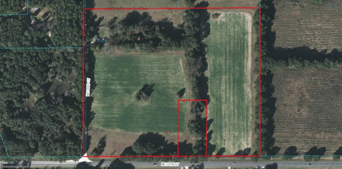 Farm Ranch in Anthony, Florida, United States 1 - 16778794