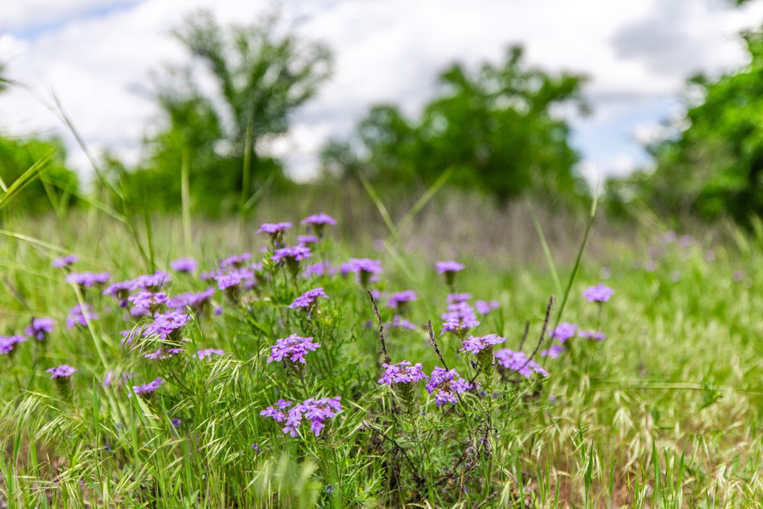 Land in Weatherford, Texas, United States 4 - 16782112