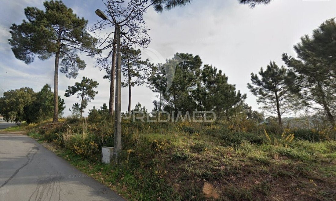 Land in Campanha, Porto District, Portugal 2 - 16783013