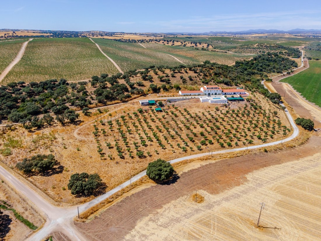 Finca in Nossa Senhora da Expectacao, Portalegre District, Portugal 3 - 16779557
