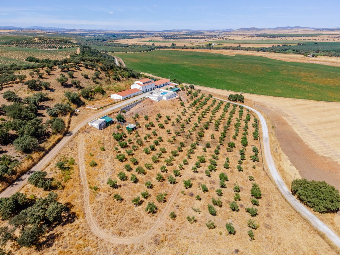 Finca in Nossa Senhora da Expectacao, Portalegre District, Portugal 1 - 16779557