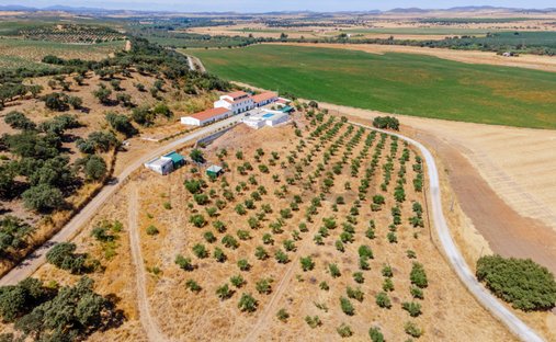 Finca in Nossa Senhora da Expectacao, Portalegre District, Portugal 1