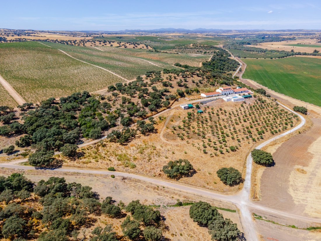 Finca in Nossa Senhora da Expectacao, Portalegre District, Portugal 2 - 16779557