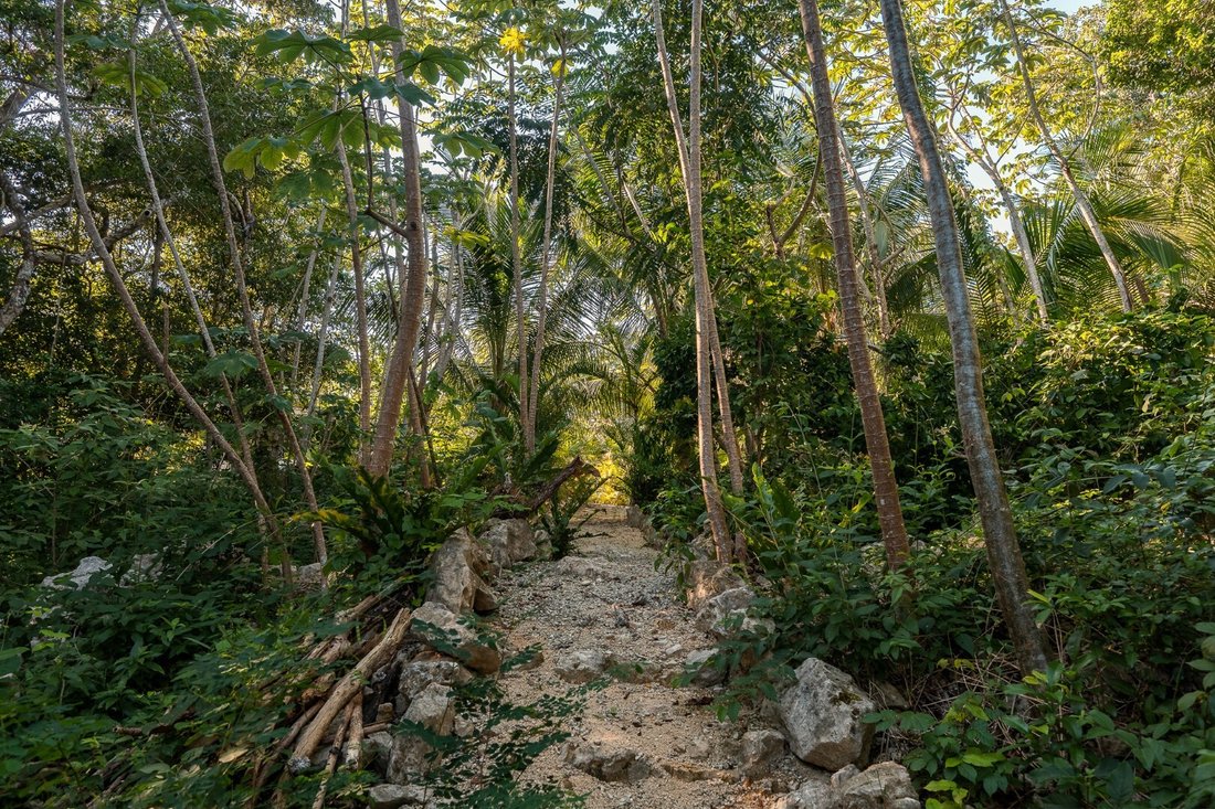 Land in San Martín, Quintana Roo, Mexico 4 - 16783313