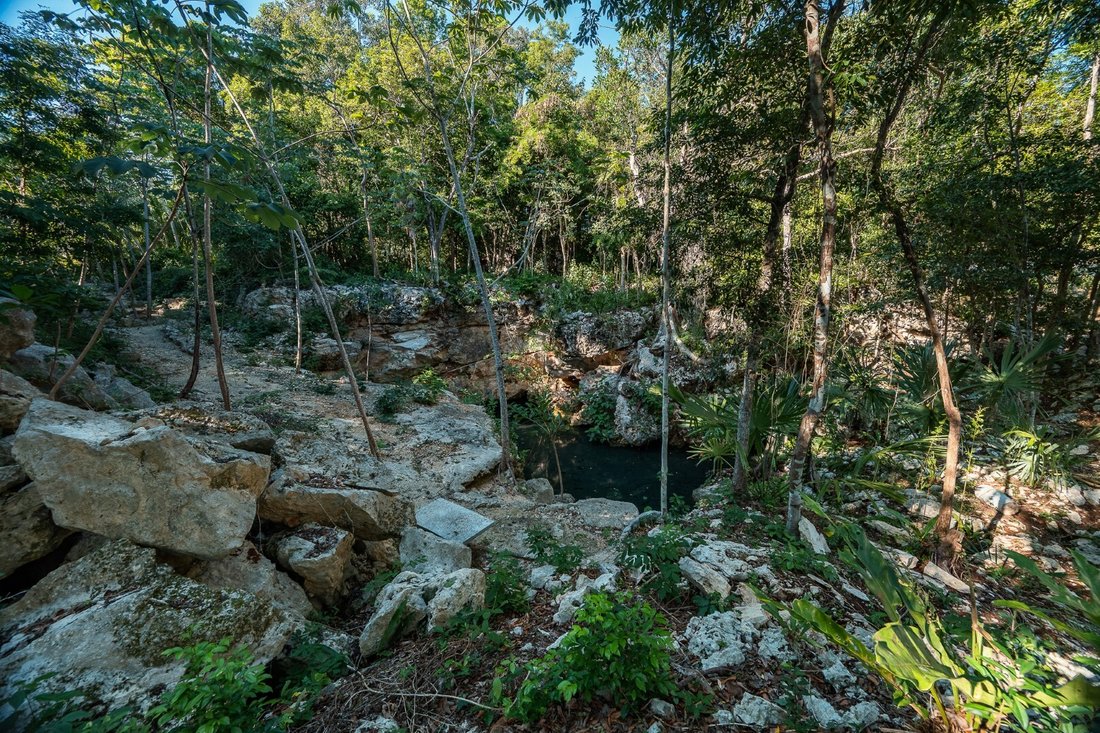 Land in San Martín, Quintana Roo, Mexico 5 - 16783313