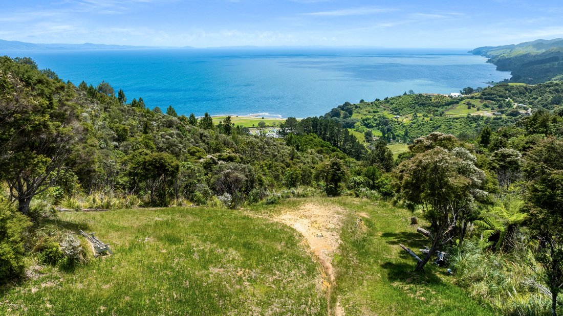 Land in Tapu, Waikato, New Zealand 5 - 16782853