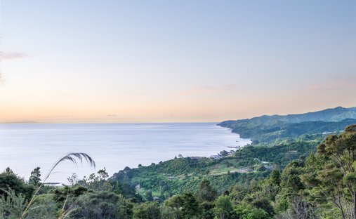 Land in Tapu, Waikato, New Zealand 1